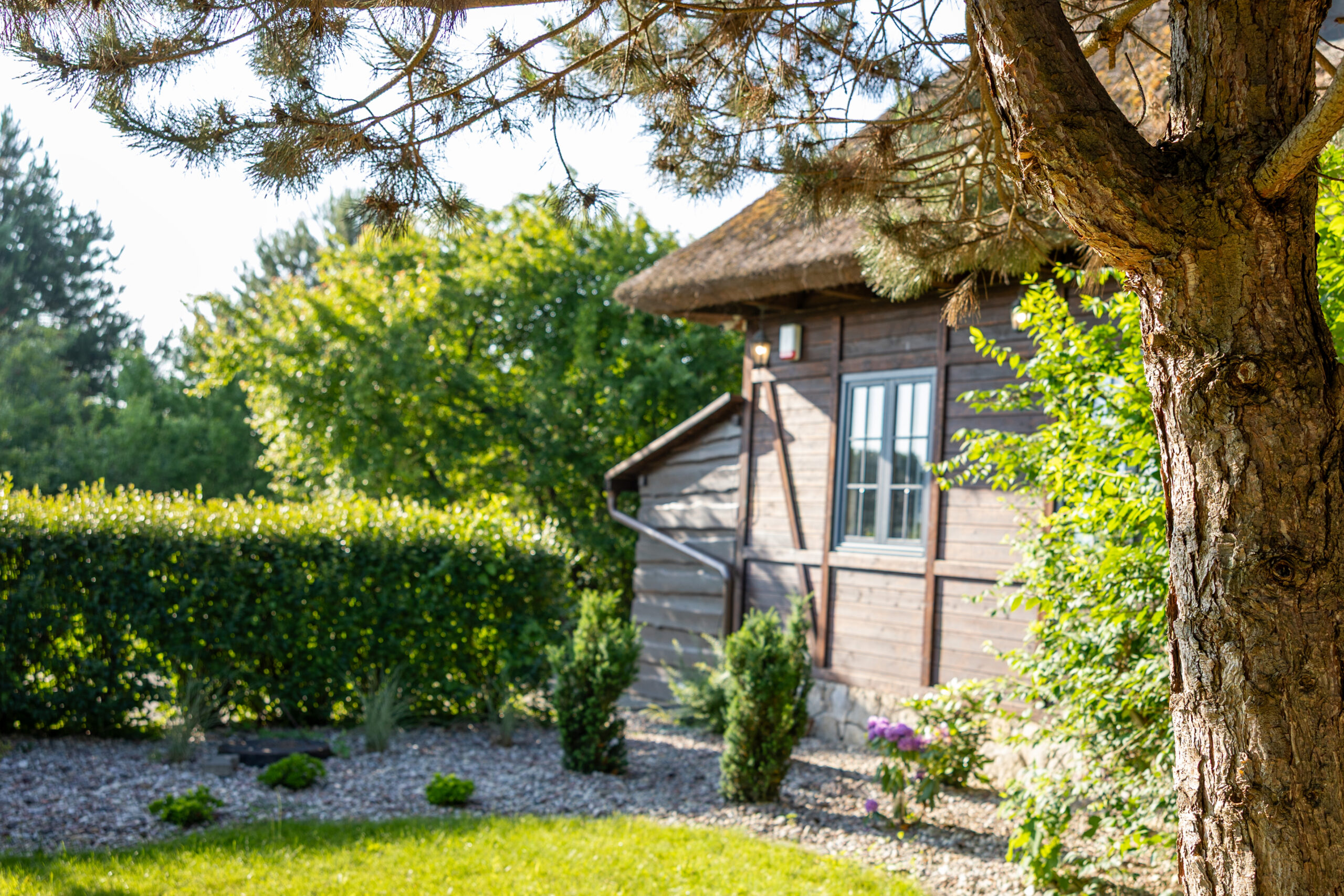 ff7e13be2e5d587a0689fc3b664bb5e07d13ee5d (1)